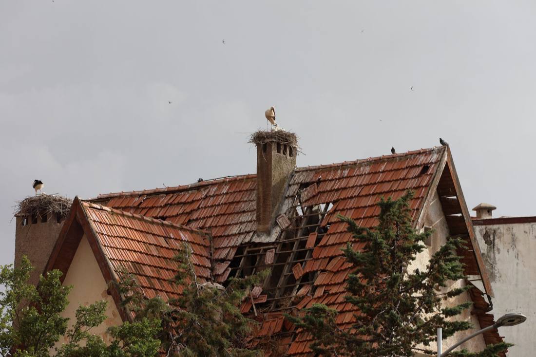 A dilapidated roof with stork nests against a cloudy sky, depicting nature's resilience.
